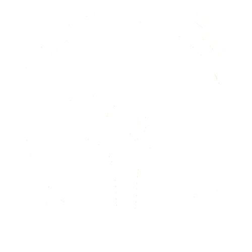 VTC Mariage et événements Toulouse – Chauffeur privé Mise à Disposition